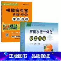 [正版]柑橘水肥一体化技术图解+柑橘病虫害诊断与防治原色图谱 全2册 果树病虫害防治书农药知识农作物现代大棚作物育种学