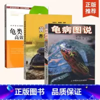 [正版]全3册养龟书籍 龟病图说+黄缘闭壳龟养殖技术图谱+龟类高效养殖200问乌龟养殖书养好宠物龟大全宠物乌龟高效养殖