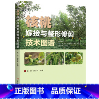 [正版]23年新书核桃嫁接与修剪技术图谱 核桃种植新技术核桃树园艺书籍 农业科学栽培核桃苗培育园地管理种植系列读物