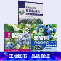 [正版]全3册图说蓝莓修剪与12月栽培管理+视频图文版蓝莓轻简化高效栽培技术+蓝莓园生产与经营致富一本通 蓝莓种植