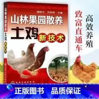 [正版]山林果园散养土鸡新技术 养鸡技术书及用药散养鸡饲料手册鸡病鉴别诊断图谱书籍大全蛋鸡肉鸡高效养殖配方教程土鸡仔防