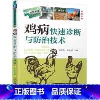 [正版]鸡病快速诊断与防治技术 视频升级版 养鸡技术书蛋鸡养殖技术书籍大全鸡病鉴别诊断图谱与防治土鸡肉鸡散养鸡养殖及用