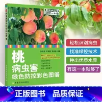 [正版] 桃病虫害绿色防控彩色图谱 张保常 桃树栽培种植技术大全教程书籍黄桃水蜜桃蟠桃高产高效种植技术果树管理施肥用药