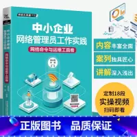 [正版]中小企业网络管理员工作实践 网络命令与运维工具卷 网络管理员教程书籍 计算机管理组建应用维护局域网书 综合布线