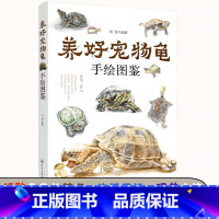 [正版]养好宠物龟手绘图鉴 水龟半水龟陆龟养殖书籍宠物龟饲养技术生活环境搭建乌龟喂养方法龟病防治书籍高效养殖技术教程书