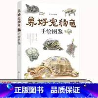 [正版]养好宠物龟手绘图鉴 水龟半水龟陆龟养殖书籍宠物龟饲养技术生活环境搭建乌龟喂养方法龟病防治书籍高效养殖技术教程书