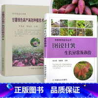 [正版]2册图说甘薯生长异常及诊治+甘薯绿色高产高效种植技术甜薯地瓜番薯白薯红薯山芋紫薯芋头栽培种植技术大全书籍病虫害