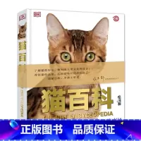 DK猫百科[新版] [正版]DK儿童动物百科全书中国少年小学生少儿大百科全套揭秘恐龙植物世界王国大探秘科普类书籍小学大英