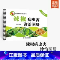 [正版]辣椒病虫害诊治图册(全彩版)辣椒高效栽培辣椒高产量种植指导书红椒青椒甜椒大棚室栽培书籍辣椒栽培种植技术大全病虫
