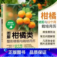 [正版]图解柑橘类修剪与栽培月历 园艺指南 柑橘种植病虫防害管理 柑橘类植物修剪 园艺设计入门 农作物水果种植