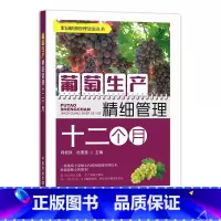 [正版]葡萄生产精细管理十二个月 葡萄种植书籍栽培技术大全书果树修剪水果病虫草害诊断与防治农业指导植株的培育园艺种
