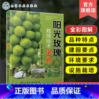 [正版]2023新书 阳光玫瑰栽培技术宝典 阳光玫瑰葡萄种植技术栽培书籍果树书葡萄树体肥水花果管理 葡萄病虫害诊断防治