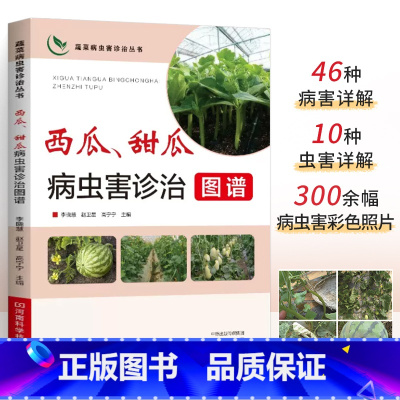 [正版]彩色照片西瓜 甜瓜病虫害诊治图谱 西瓜种植技术 工业农业种植书籍 病害虫害症状识别要点发生规律诊治方法绿色防控