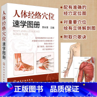 [正版]人体经络穴位速学图册 中医养生书全图解筋络穴位速记手册 中医针灸推拿实用书零基础学会养生书籍全身穴位按摩书中医