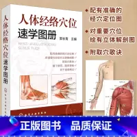 [正版]人体经络穴位速学图册 中医养生书全图解筋络穴位速记手册 中医针灸推拿实用书零基础学会养生书籍全身穴位按摩书中医