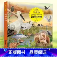 池塘动物 [正版] 童眼识天下科普馆:池塘动物 童心编绘 少儿科普读物 学前教育 科普知识 动物认知 趣味科普 科学启蒙
