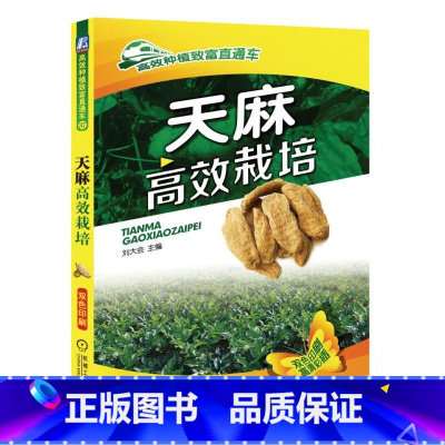 [正版]天麻高效栽培 天麻书籍天麻种植技术书 天麻病虫害诊断及综合防治技术 天麻种子种苗高产栽培与加工利用 天麻周年管