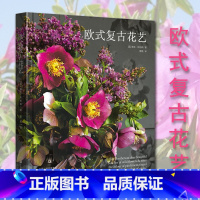 [正版]欧式复古花艺花卉养花插花艺术园艺书籍植物图鉴盆景制作教程书花艺师花束设计与制作素材大全家庭养花花艺设计基础教科