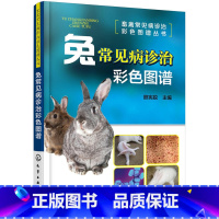 [正版]兔常见病诊治彩色图谱 养兔技术大全养殖技术书肉兔科学养殖书籍农业畜牧兽医专业圈养兔病预防与诊治野兔饲养养殖