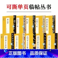 [可撕碑帖]10本套装 [正版]墨点字帖毛笔临摹字帖曹全碑颜真卿多宝塔碑欧阳询赵孟俯王羲之兰亭序圣教序可撕单页临帖丛书临