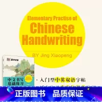 中文书写基础练习 [正版]中文字体对外汉语教学中文书写基础练习自修YCT标准教程中英对照双语互译拼音笔画笔顺结构偏旁部首