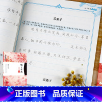 [5册套装]女生唯美字帖描红套装 [正版]墨点钢笔字帖成年楷书硬笔书法字帖描红字帖正楷纳兰性德饮水词湖北美术出版社墨点字