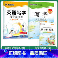 [语文+英语]8年级上册 [正版]八年级下册字帖写字同步练习册人教版初中生练字写字训练八年级上册每日一练寒假作业钢笔硬笔
