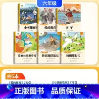 [推荐阅读]快乐读书吧全套 小学六年级 [正版]小学生六年级上册练字墨点字帖人教版语文同步练字帖生字笔顺六年级下册每日一