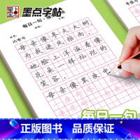 ----综合套装---- [正版]优美句子积累字帖小学生练字帖儿童每日一练比喻拟人好词好句作文练习减压语文同步人教版
