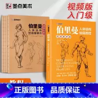 [全套]教程+描摹本 [正版]伯里曼人体结构绘画教学人体结构入门教程解剖动态骨骼透视艺考生美术生人体素描速写临摹基础初学