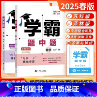[25春]7下-数学SK+英语YL-2本-江苏版 七年级/初中一年级 [正版]2025春新版学霸题中题数学语文英语七年级