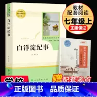 [正版]白洋淀纪事原著七年级上册书统编版名著阅读课程化丛书配套阅读人教版初一7年级课外经典阅读人民教育出版社