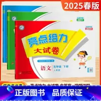 [25春]5下-语数英(3本)江苏专用 小学五年级 [正版]2025春新版亮点给力大试卷五年级上册下册语文人教版数学苏教