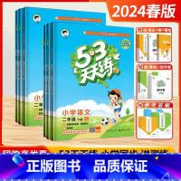 2024秋]二年级上.语数英(3本)江苏专用 小学二年级 [正版]2024春新版小学53天天练二年级上册下册语文数学英语