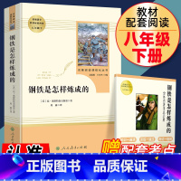 钢铁是怎样炼成的.配套考点 [正版]钢铁是怎样炼成的初中原著八年级下册原版完整版人民教育出版社初中生必读人教版课外书阅读