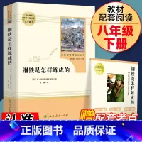 钢铁是怎样炼成的.配套考点 [正版]钢铁是怎样炼成的初中原著八年级下册原版完整版人民教育出版社初中生必读人教版课外书阅读