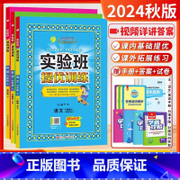 2024秋[6上]语+数+英 共3本-江苏版 小学六年级 [正版]2024春新实验班提优训练六年级上下册语文数学英语苏教