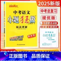 [25新版]中考版-语文 阅读理解 [正版]2025新版中考小题狂做提优版语文数学英语物理化学单项填空与完形填空初中三九