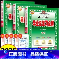 总复习全解·语文+数学+英语-3本套 [正版]2025春金星教育小升初毕业总复习全解语文数学英语通用版小学升初中小考总复