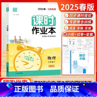 2025春-九年级下物理(苏科版) [正版]2025春通城学典 课时作业本九年级物理下册苏科版SK 初三9年级物理下苏教