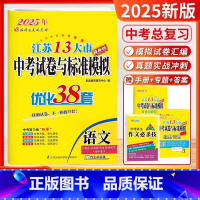 2025-中考语文 [正版]备考2025恩波教育江苏13大市中考试卷与标准模拟优化38套语文提优版 中考总复习江苏中考真