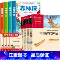 [全8册]森林报+四年级上册必读 [正版]森林报春夏秋冬全四册全集四年级上册必读的课外书适合小学生三四五六年级阅读课外书