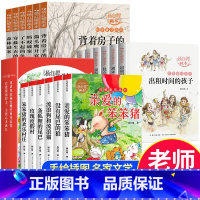 杨红樱画本童话系列[全套18册] [正版]亲爱的笨笨猪杨红樱画本作品集系列书6册 小学生三四五六年级课外书籍性情校园经典