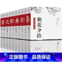 鲁迅经典全集 朝花夕拾等全10册(盒装) [正版]全10册鲁迅全集 书籍 经典作品集原著朝花夕拾狂人日记故乡呐喊小说经典