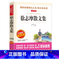 [正版]徐志摩散文集 天地出版社名师导读版作品集全集 青少年初中生七八九年级初一二必读经典书目名师指导课外阅读书籍 畅