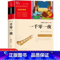 一千零一夜 [正版]城南旧事林海音原著中小学五年级语文无障碍阅读彩插励志版6-9-12周岁中国儿童文学三四五六年级必读经