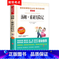 [正版]汤姆索亚历险记原著世界名著天地出版社名师导读版小学生阅读名师指导青少版中小学生课外书四五六七年级下册必读课外阅