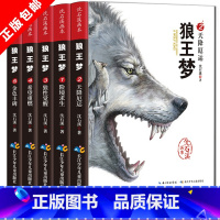 [正版]狼王梦完整版全套 沈石溪动物小说系列全集5册沈石溪的书籍6-12岁小学生四五六年级必读课外阅读书籍儿童文学画本