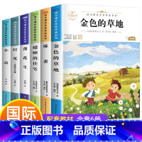 [正版]宋庆龄奖作品书系 全套6册 儿童文学 三四五六年级课外阅读书籍名师指导8一12小学经典书目 3-4-5适合小学