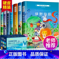 小白鸽国际大奖 7册 [正版]小白鸽童书馆国际大奖儿童文学美图珍藏版第二辑 精装大礼盒小王子绿野仙踪坡四五六年级阅读